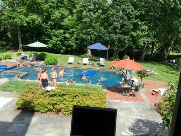 overview of pool ny
